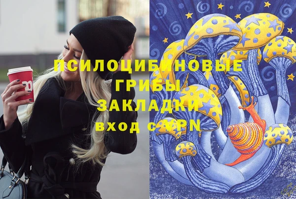 мет Алексеевка