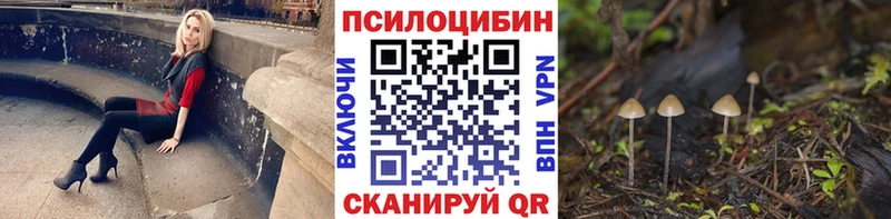 цены наркотик  Туринск  Галлюциногенные грибы прущие грибы 